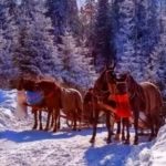 Sleigh Ride in Krakow
