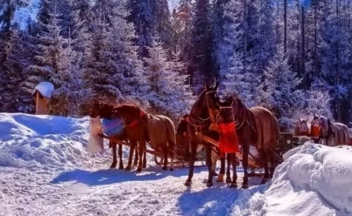 Sleigh Ride in Krakow