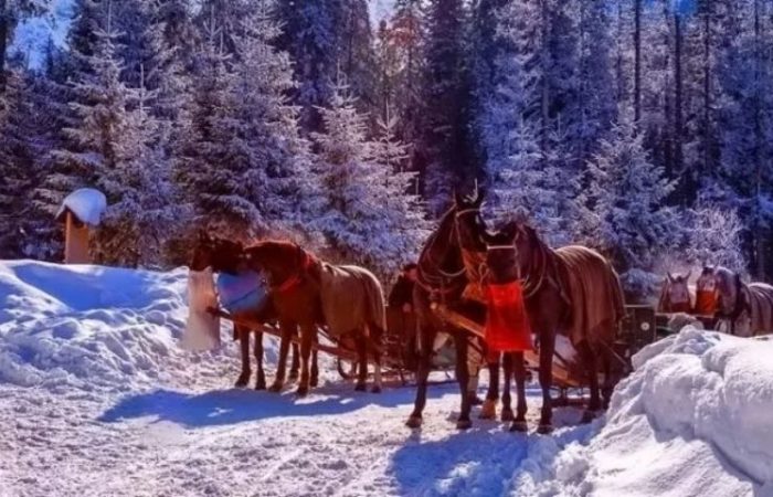 Sleigh Ride in Krakow