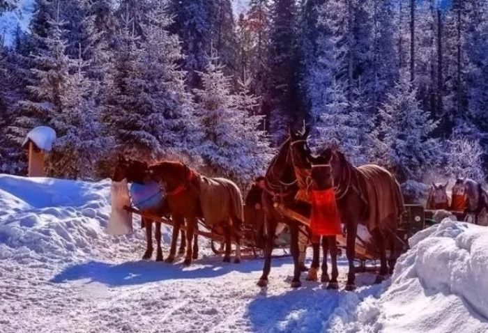 Sleigh Ride in Krakow