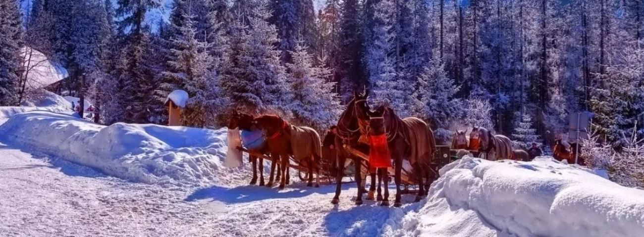 Sleigh Ride in Krakow